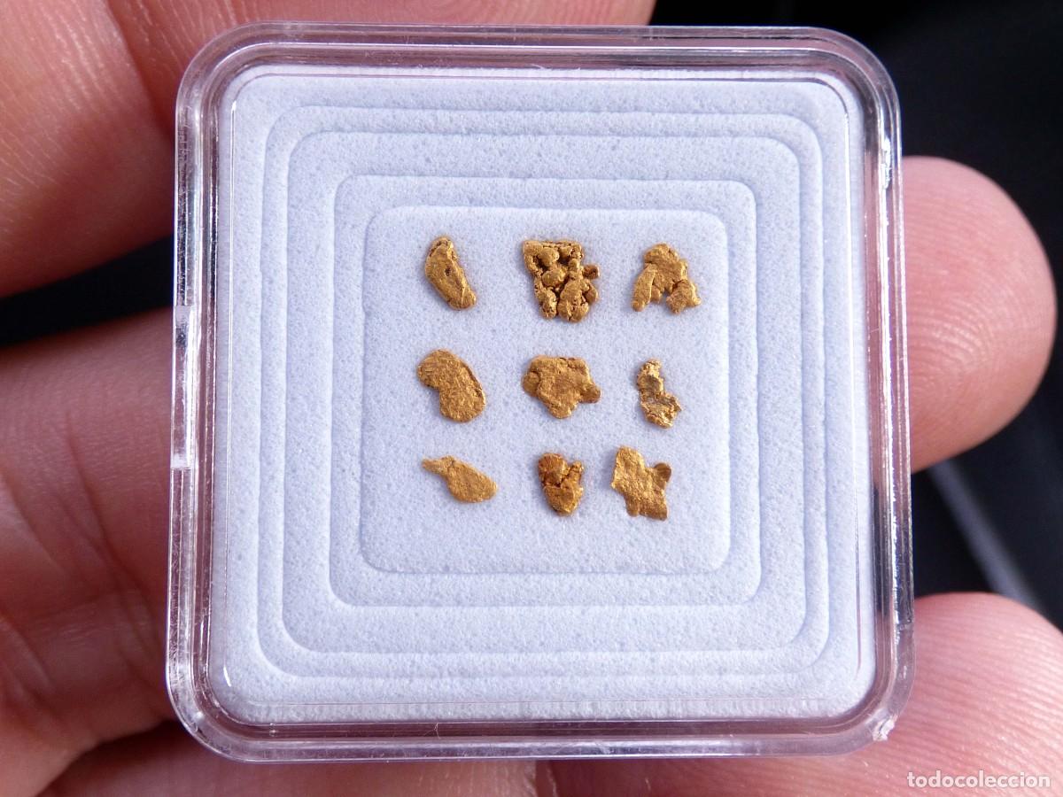 Coleccionismo de minerales: ✅FDMINERALS✅ ⚒️ ORO NATIVO ⚒️ R&iacute;o B&aacute;rcena, Asturias, Espa&ntilde;a - oro56