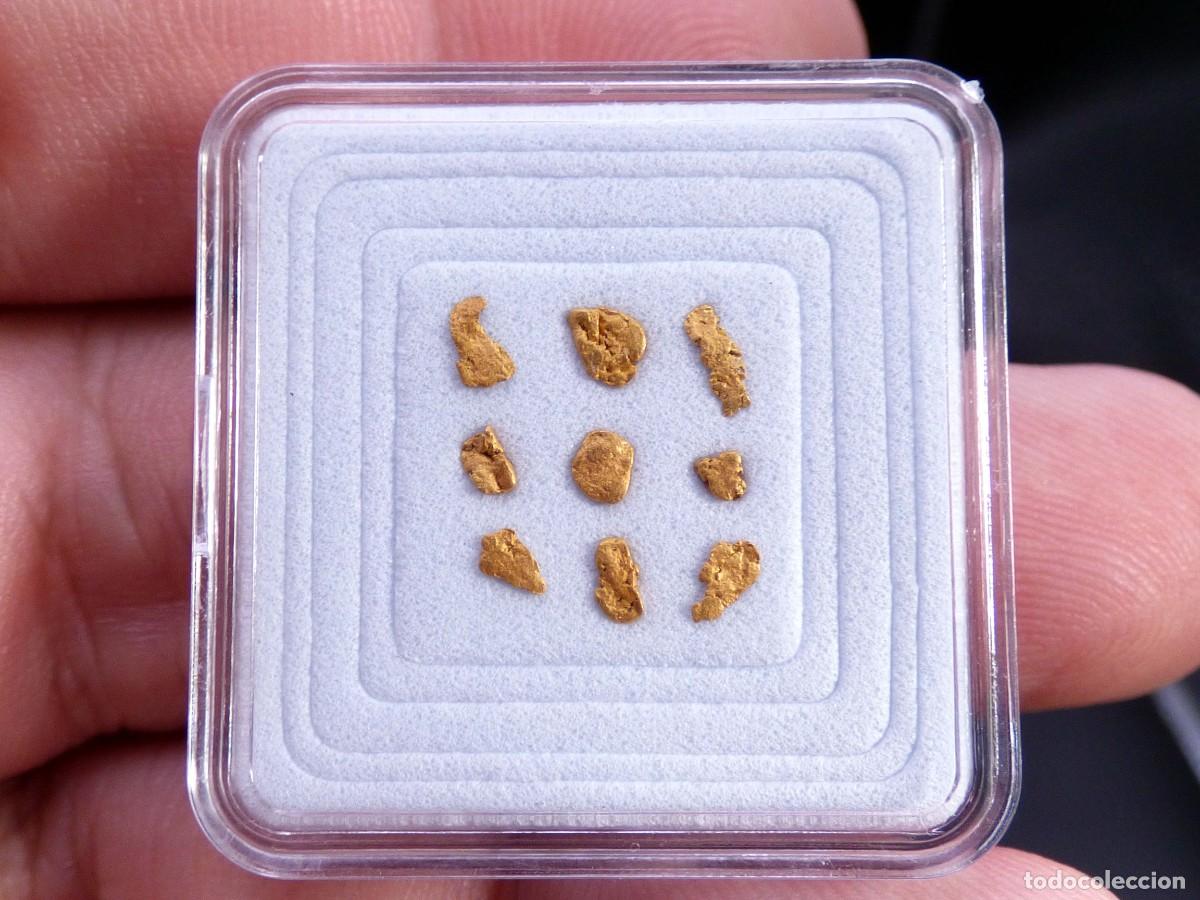 Coleccionismo de minerales: ✅FDMINERALS✅ ⚒️ ORO NATIVO ⚒️ R&iacute;o B&aacute;rcena, Asturias, Espa&ntilde;a - oro57