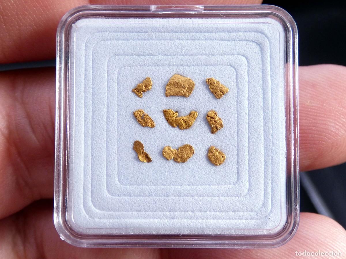 Coleccionismo de minerales: ✅FDMINERALS✅ ⚒️ ORO NATIVO ⚒️ R&iacute;o B&aacute;rcena, Asturias, Espa&ntilde;a - oro59