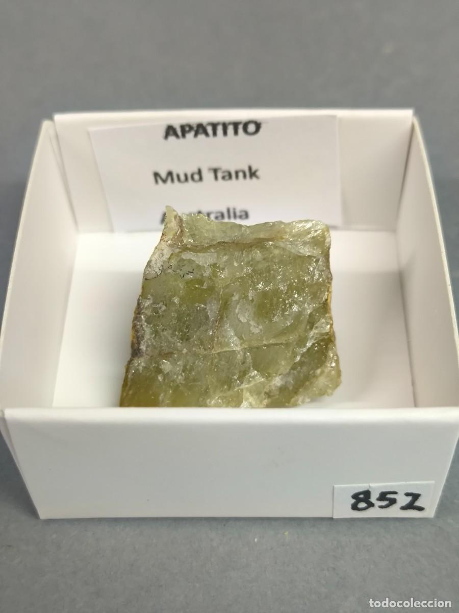 Coleccionismo de minerales: APATITO - MINERAL. Australia. 4X4