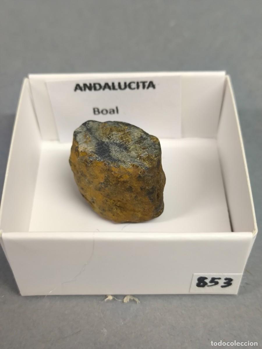 Coleccionismo de minerales: ANDALUCITA - MINERAL. Asturias.4X4