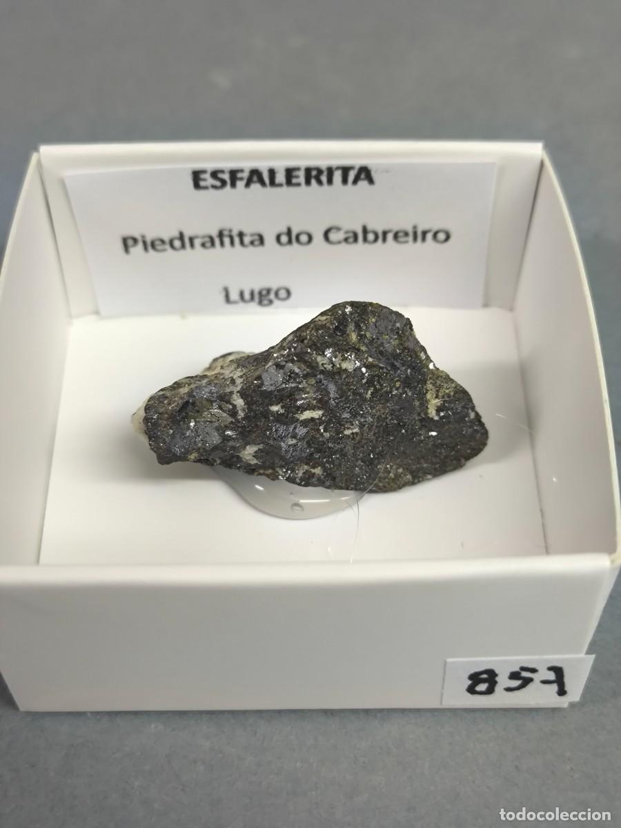 Coleccionismo de minerales: ESFALERITA + GALENA - MINERAL. Lugo. 4x4