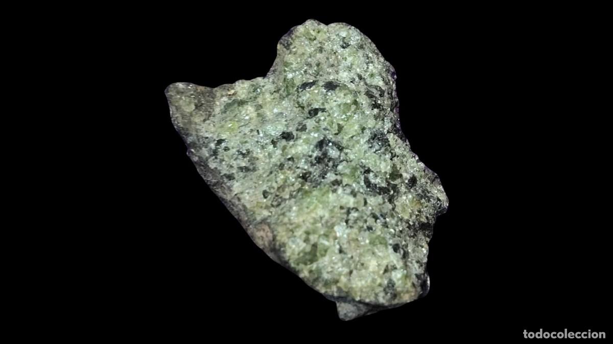 Collezionismo di minerali: Rara Muestra de Peridotita con Cristales de Olivino (Peridoto)