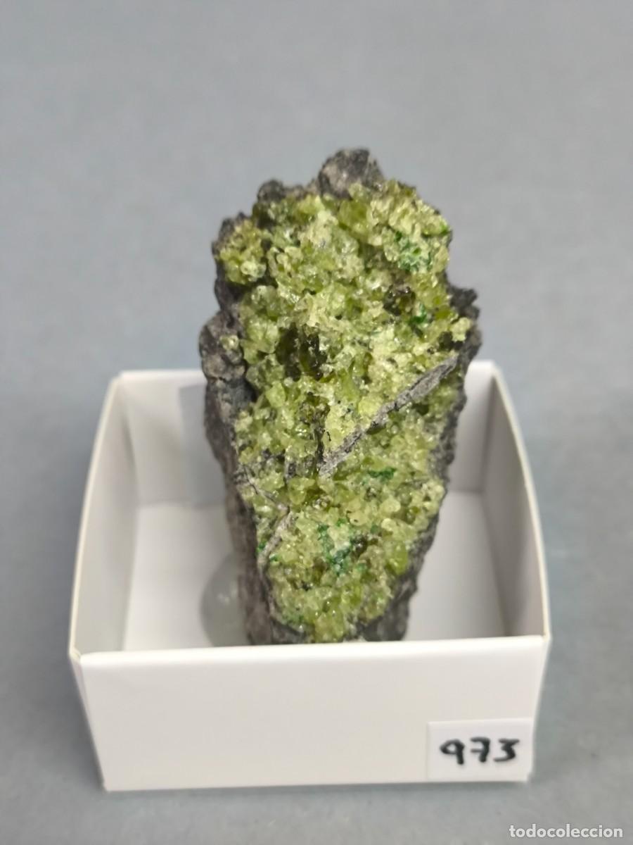 Coleccionismo de minerales: OLIVINO - MINERAL. Australia