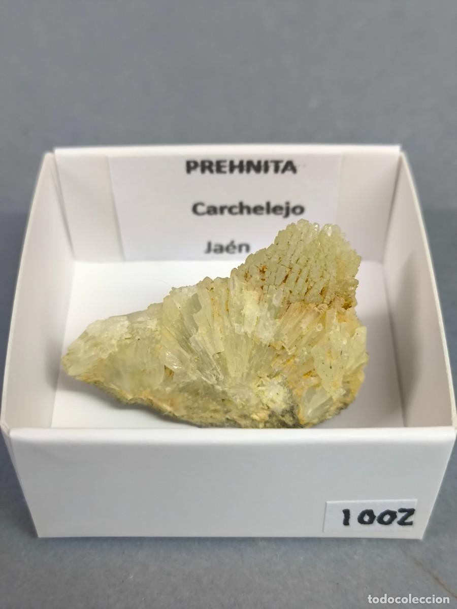 Collezionismo di minerali: PREHNITA - MINERAL. 4X4 . Ja&eacute;n