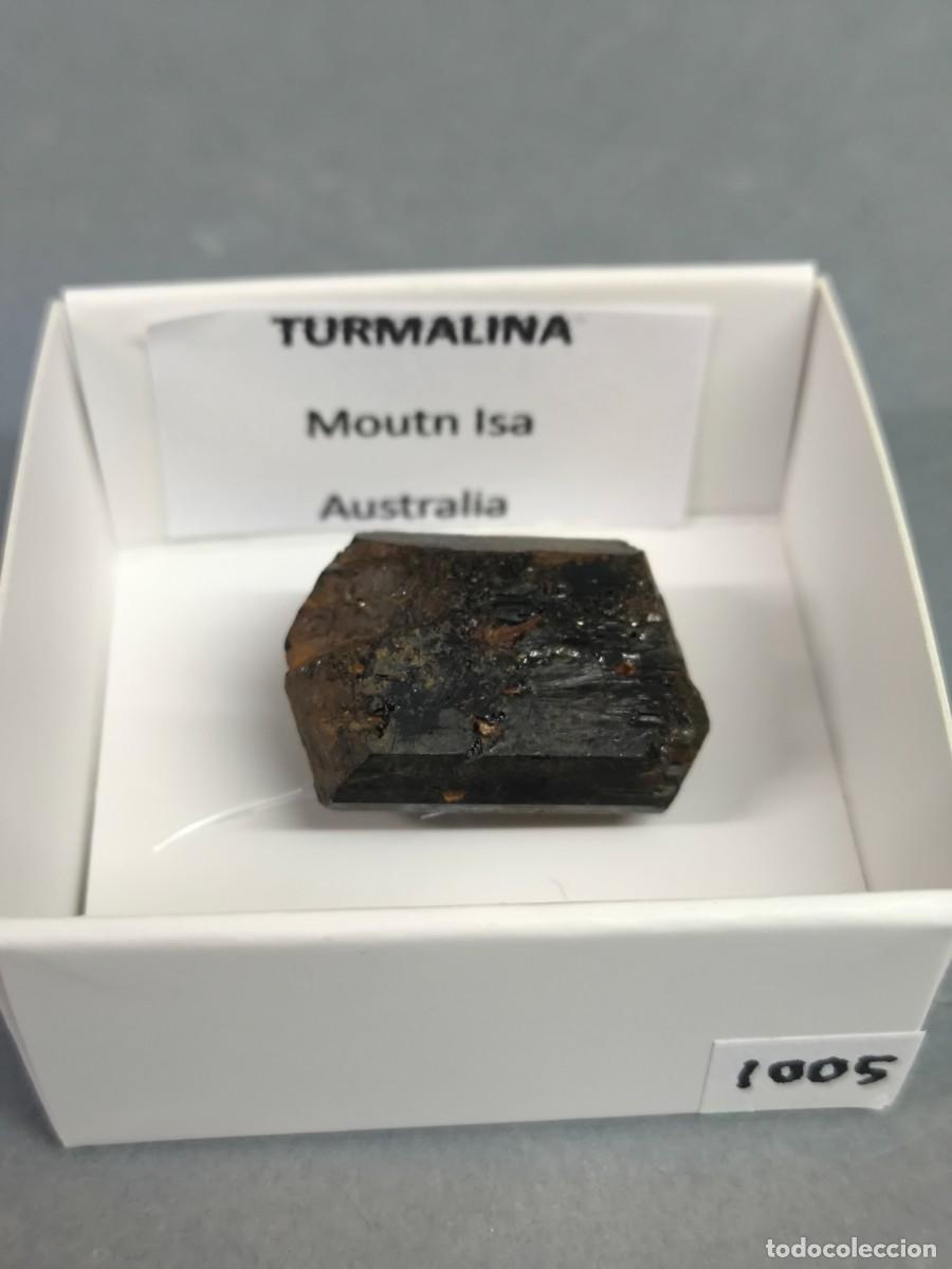 Collezionismo di minerali: TURMALINA (Dravita) - MINERAL. Australia