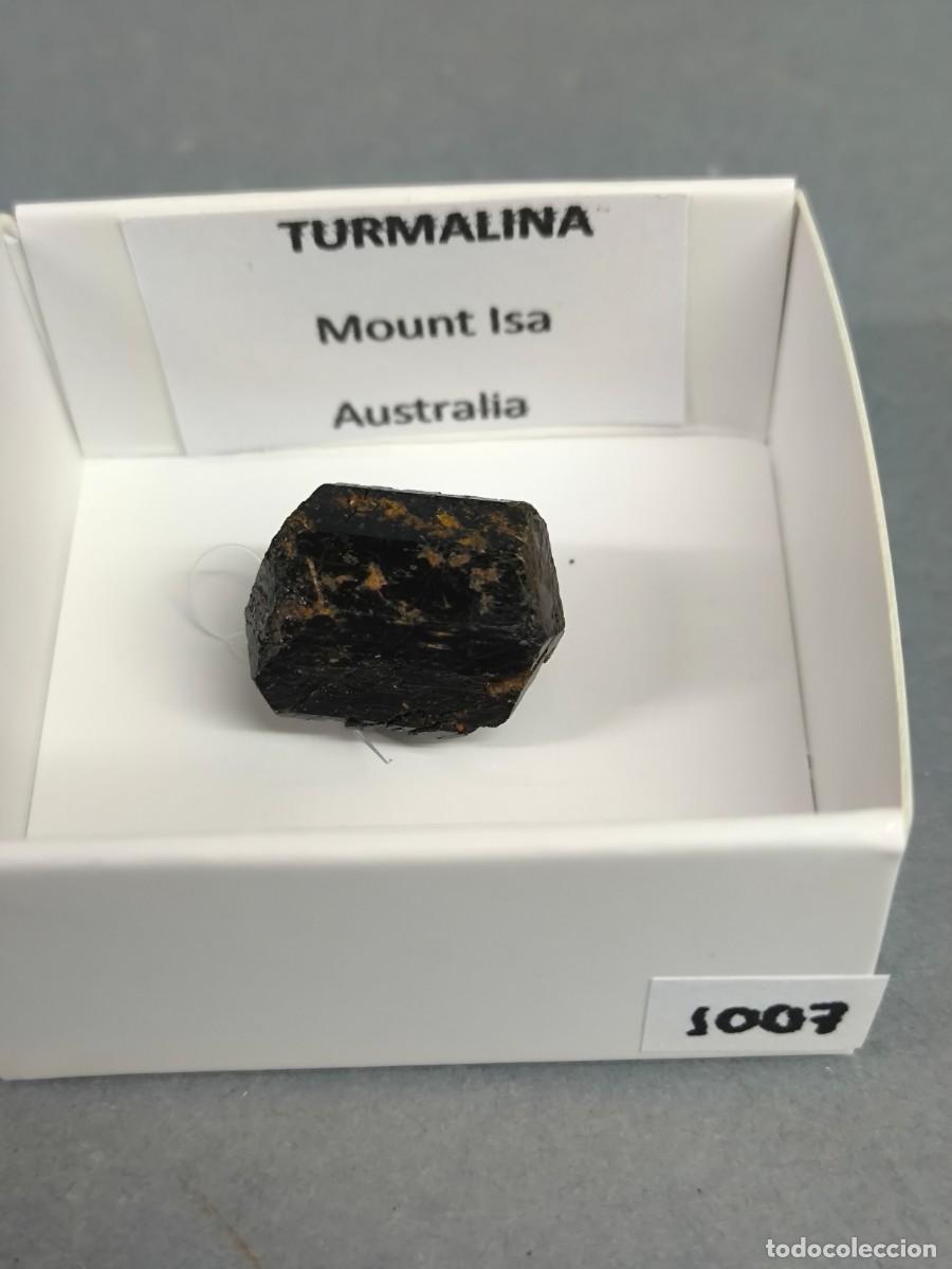 Collezionismo di minerali: TURMALINA (Dravita) - MINERAL. Australia