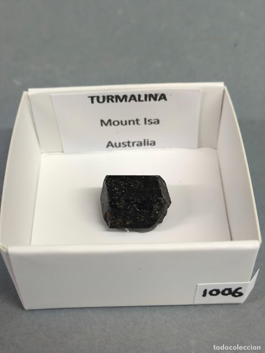 Collezionismo di minerali: TURMALINA (Dravita) - MINERAL. Australia