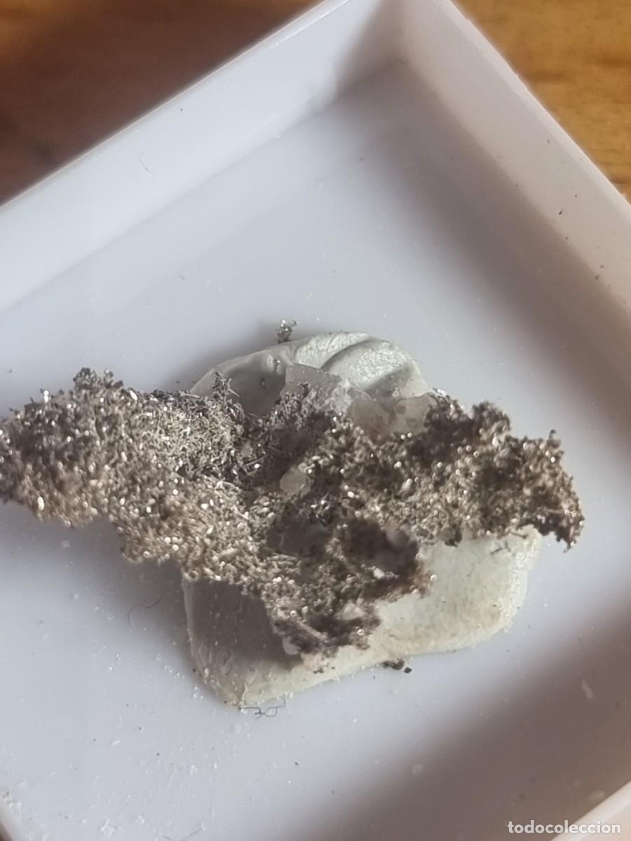 Collectionnisme de min&eacute;raux: Plata Nativa Cristalizada - Las Herrer&iacute;as (Almer&iacute;a) - Mineral Colecci&oacute;n