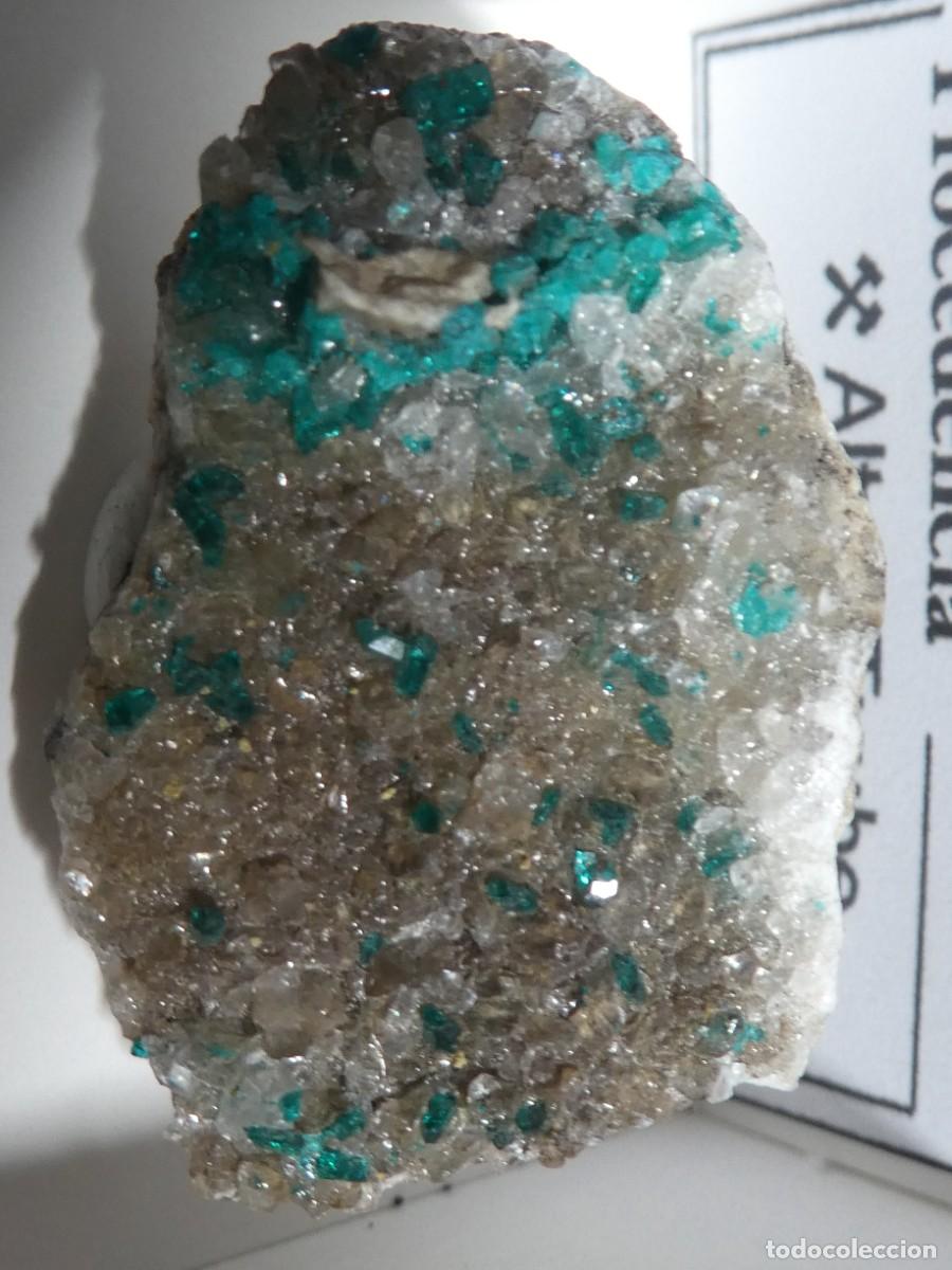 Coleccionismo de minerales: (295) DIOPTASA, KAZAJSTAN.