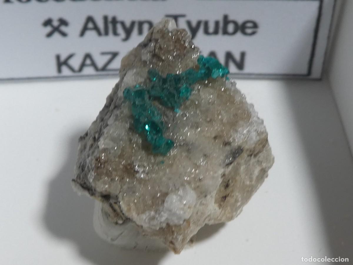 Coleccionismo de minerales: (297) DIOPTASA, KAZAJSTAN.