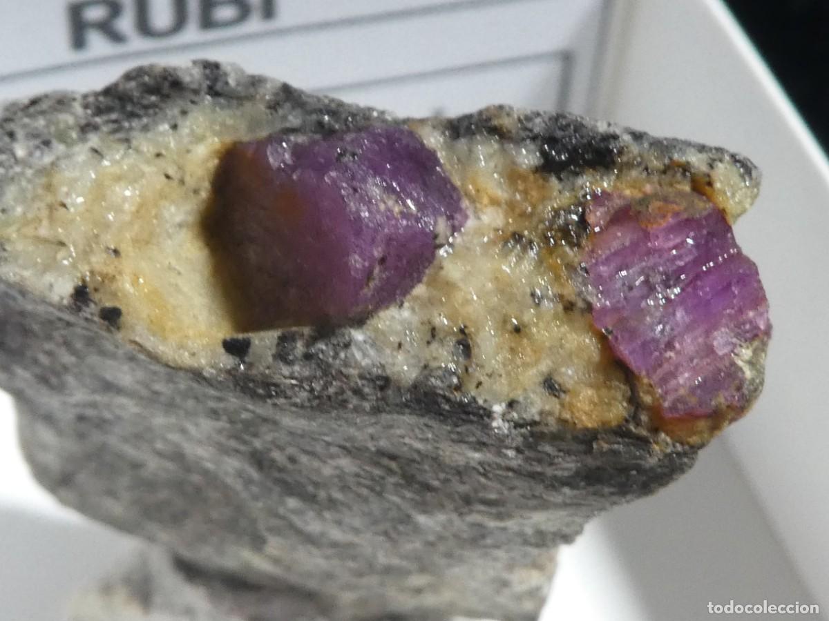 Collezionismo di minerali: (320) RUBI, KAMATAKA, INDIA.