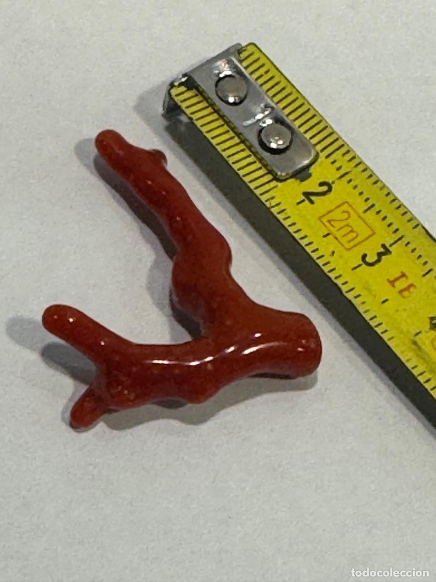 Sammlung von Mineralien: CORAL ROJO NATURAL MEDITERR&Aacute;NEO / COMPRA MIN&Iacute;MA 5 &euro;