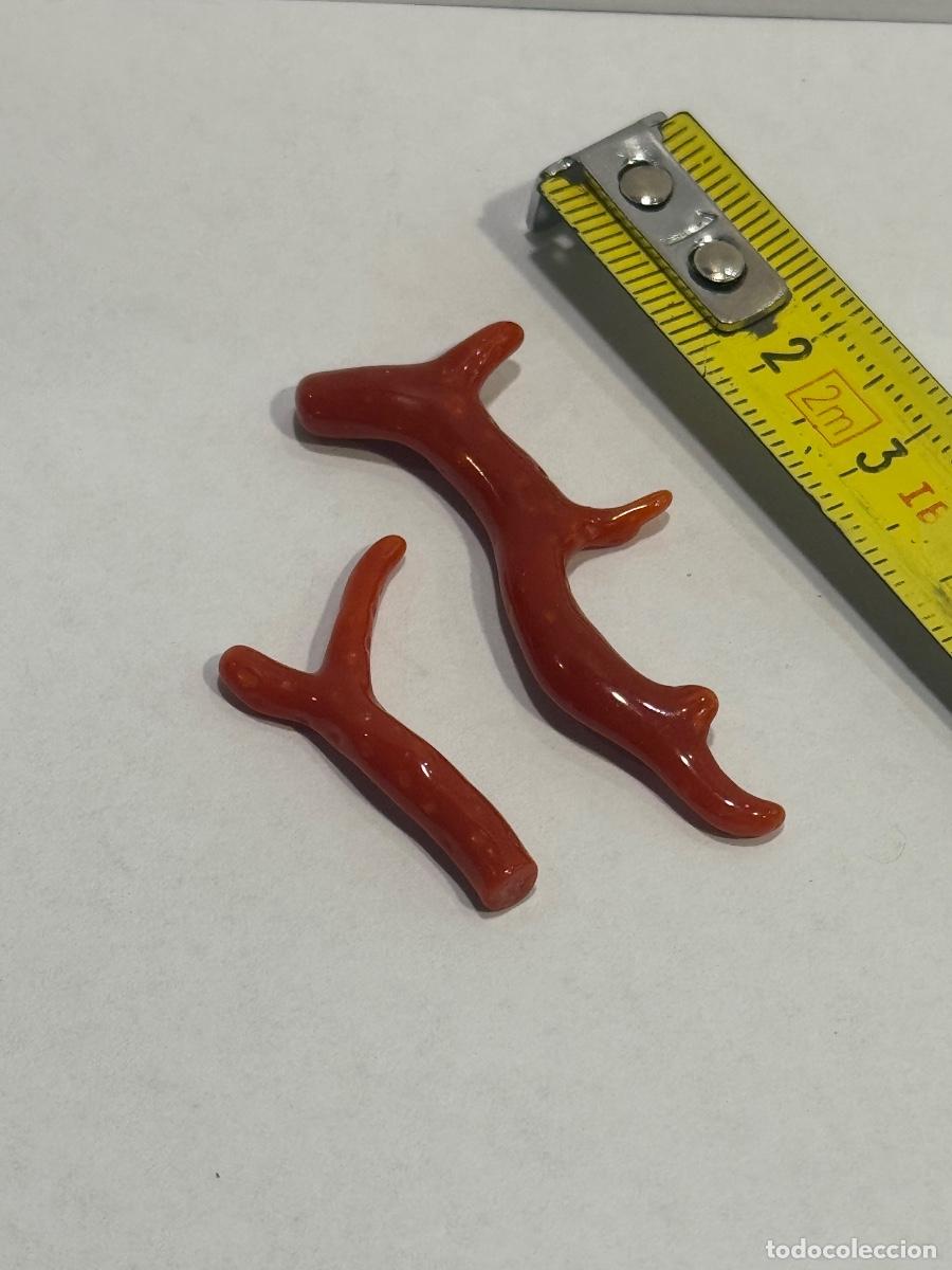 Coleccionismo de minerales: CORAL ROJO NATURAL MEDITERR&Aacute;NEO / COMPRA MIN&Iacute;MA 5 &euro;