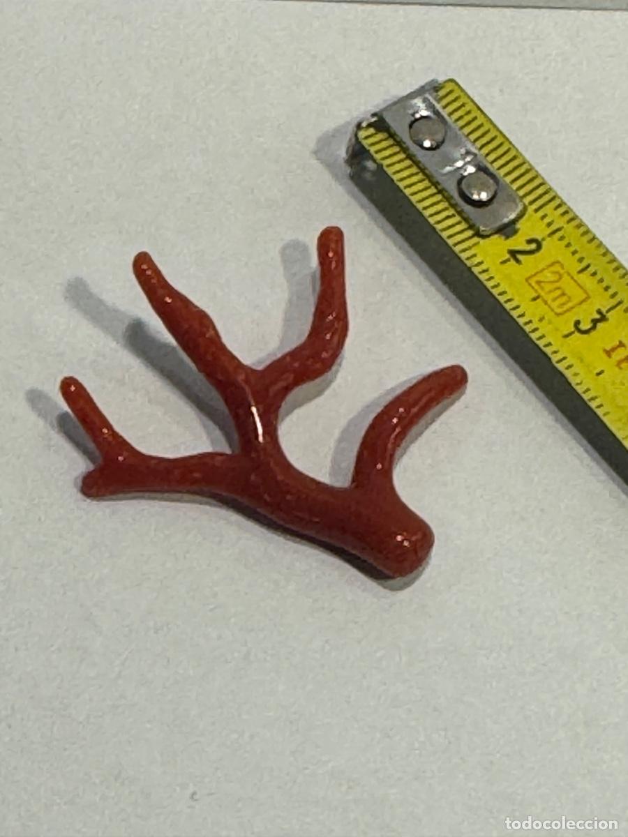 Coleccionismo de minerales: CORAL ROJO NATURAL MEDITERR&Aacute;NEO / COMPRA MIN&Iacute;MA 5 &euro;