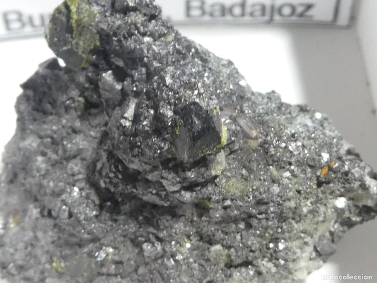 Collezionismo di minerali: (169) ALLANITA, BADAJOZ, ESPA&Ntilde;A.