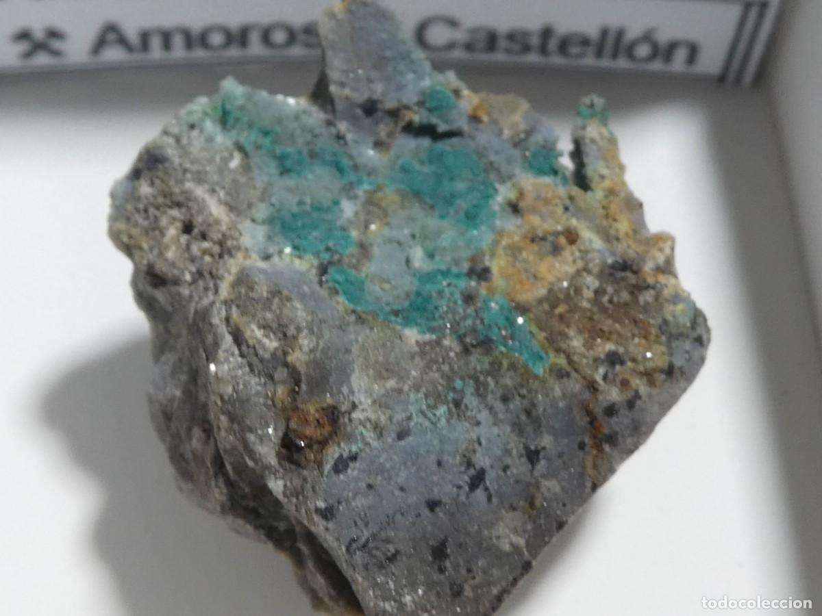 Collezionismo di minerali: (191) CLINOATACAMITA + YAKHONTOVITA, CASTELL&Oacute;N, ESPA&Ntilde;A.