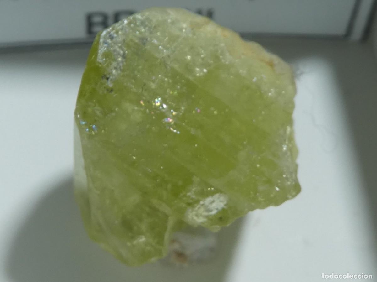 Collezionismo di minerali: (213) BRASILIANITA, LINOPOLIS, BRASIL.