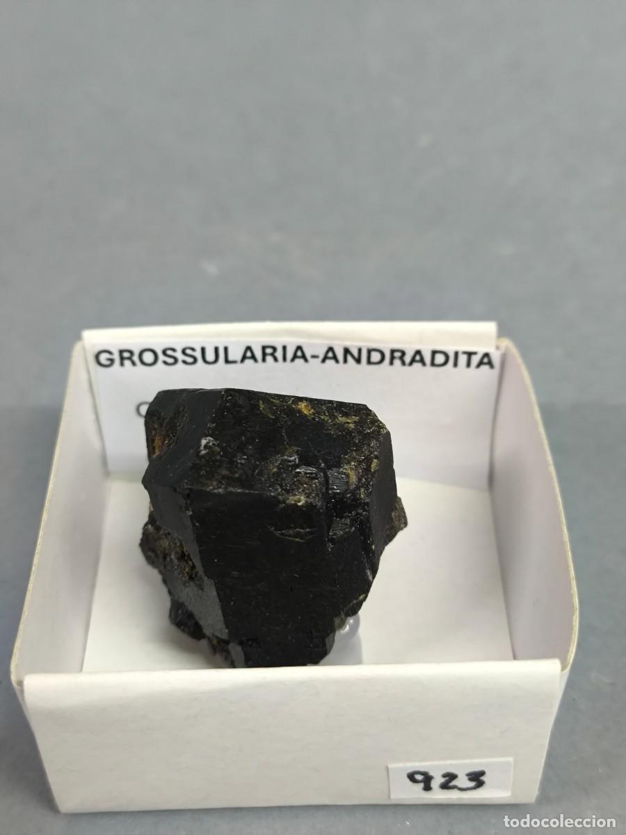 Collezionismo di minerali: GRANATE GROSSULARIA-ANDRADITA - Mineral