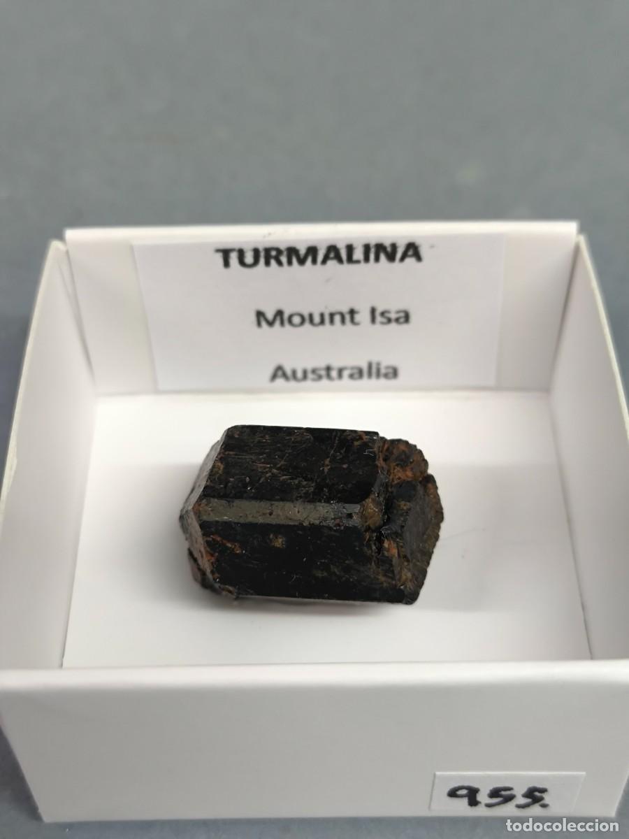 Collezionismo di minerali: TURMALINA (Dravita) - MINERAL. Australia 4x4