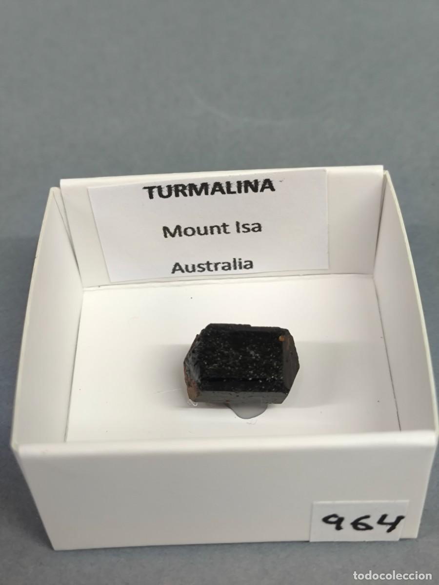 Coleccionismo de minerales: TURMALINA (Dravita) - MINERAL. Australia 4x4