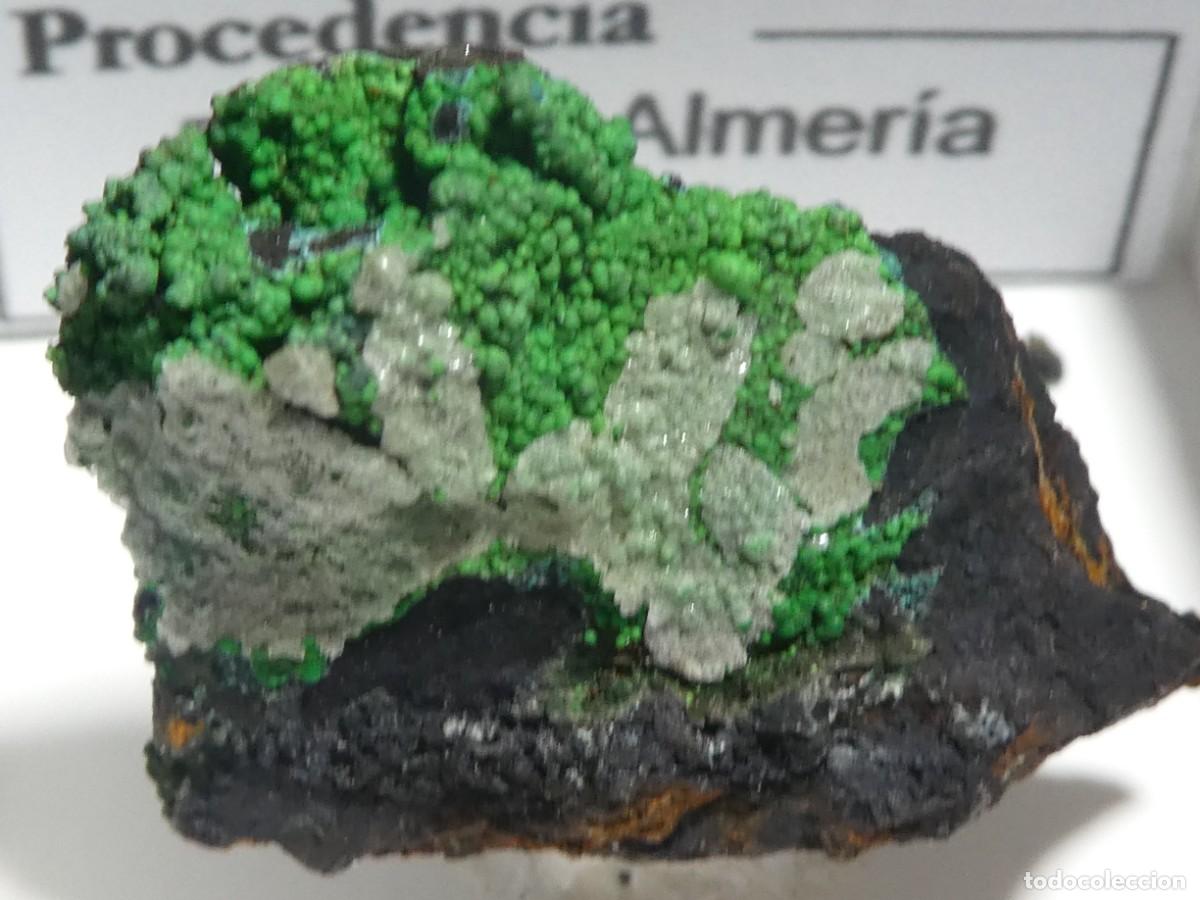 Coleccionismo de minerales: (093) CONICALCITA, FI&Ntilde;ANA, ALMERIA, ESPA&Ntilde;A.