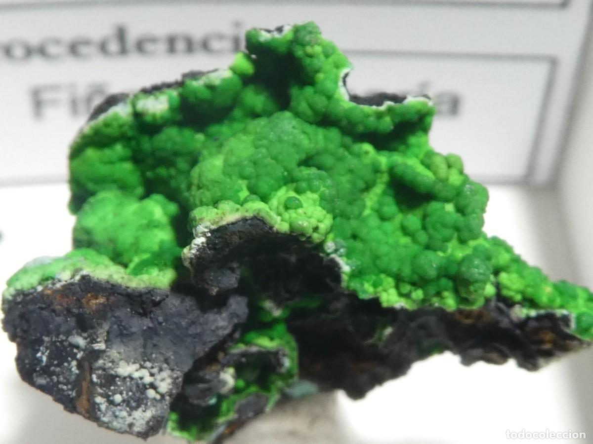 Coleccionismo de minerales: (094) CONICALCITA, FI&Ntilde;ANA, ALMERIA, ESPA&Ntilde;A.