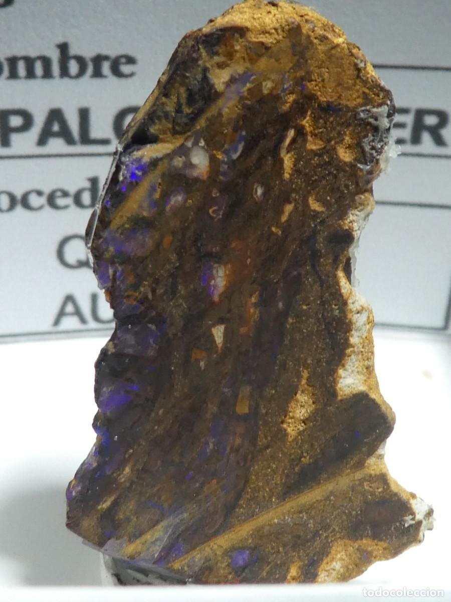 Coleccionismo de minerales: (096) OPALO NOBLE BOULDER, AUSTRALIA.