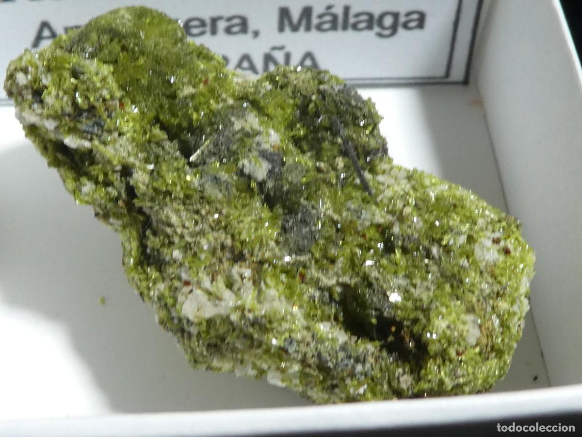 Coleccionismo de minerales: (115) EPIDOTA, ANTEQUERA, M&Aacute;LAGA, ESPA&Ntilde;A.