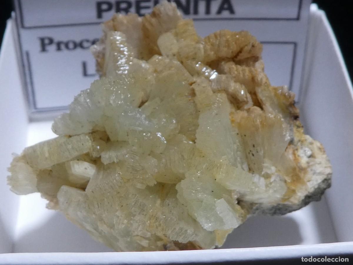 Coleccionismo de minerales: (121) PREHNITA, LEBRIJA, SEVILLA, ESPA&Ntilde;A.