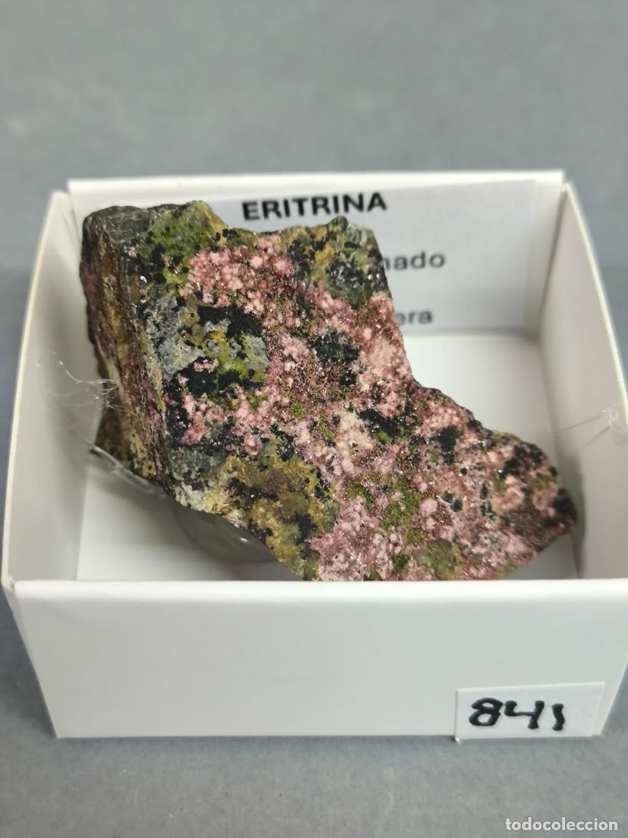 Coleccionismo de minerales: ERITRINA+ABOSOLANA - MINERAL. Almer&iacute;a. 4x4