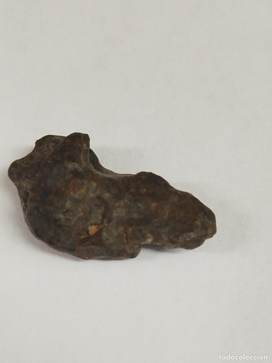Coleccionismo de minerales: METEORITO - Mesosiderita - Mineral