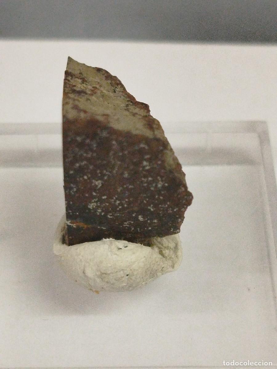 Coleccionismo de minerales: METEORITO - MINERAL. - Foto 2