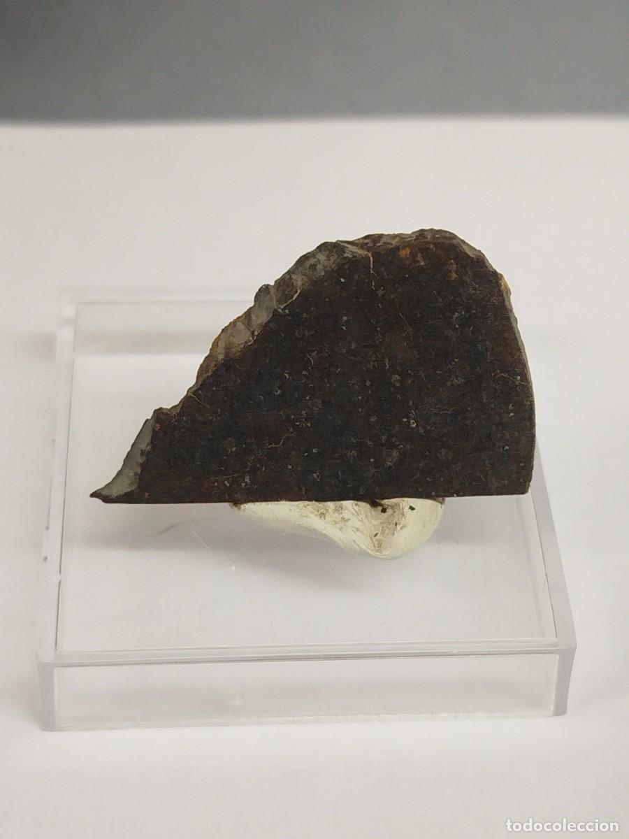 Coleccionismo de minerales: METEORITO - Chondrita. Mineral