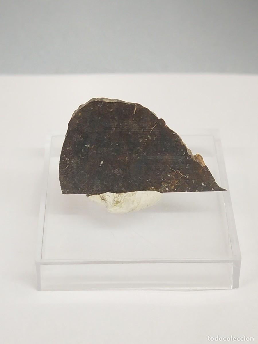 Coleccionismo de minerales: METEORITO - Chondrita. Mineral - Foto 2