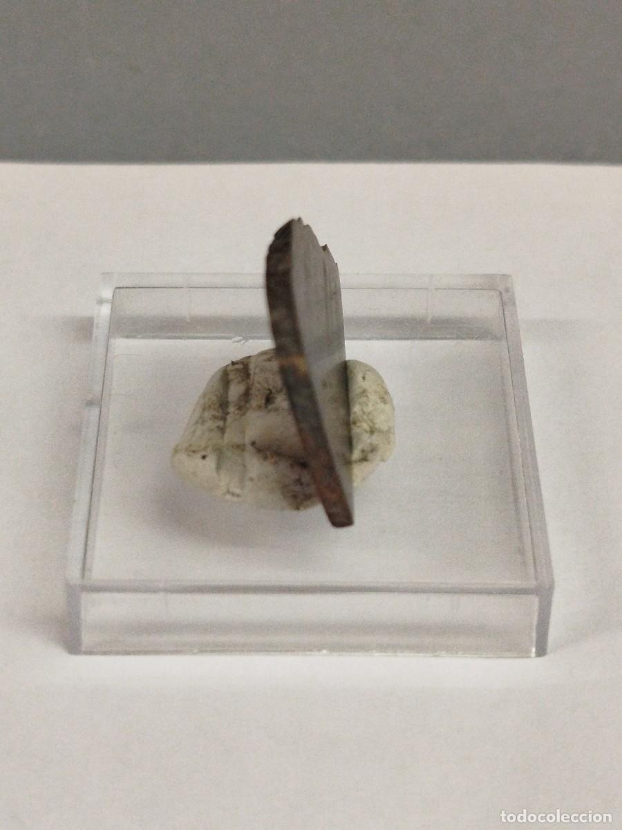 Coleccionismo de minerales: METEORITO - Chondrita. Mineral - Foto 3