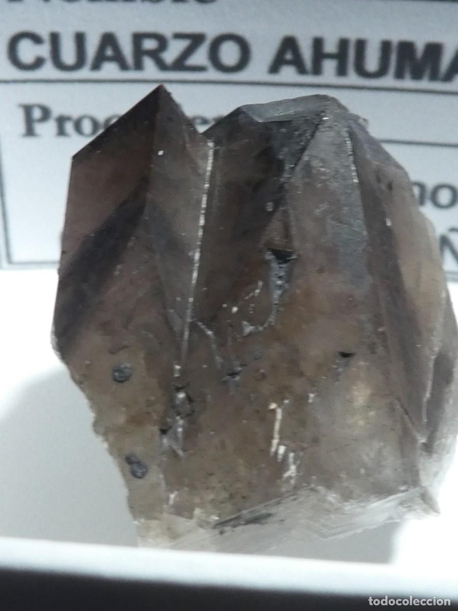 Coleccionismo de minerales: (033) CUARZO AHUMADO, CERRO MURIANO, CORDOBA.