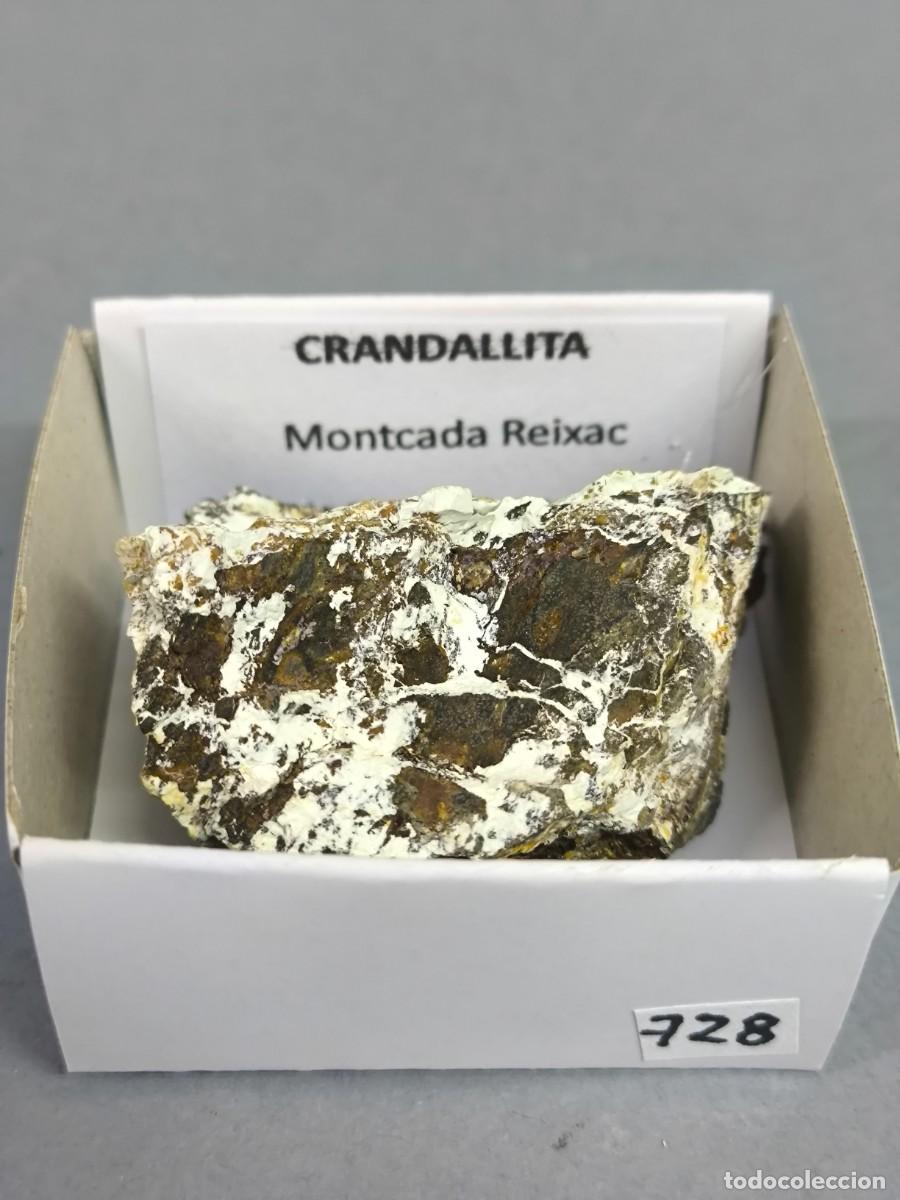 Coleccionismo de minerales: CRANDALLITA - MINERAL