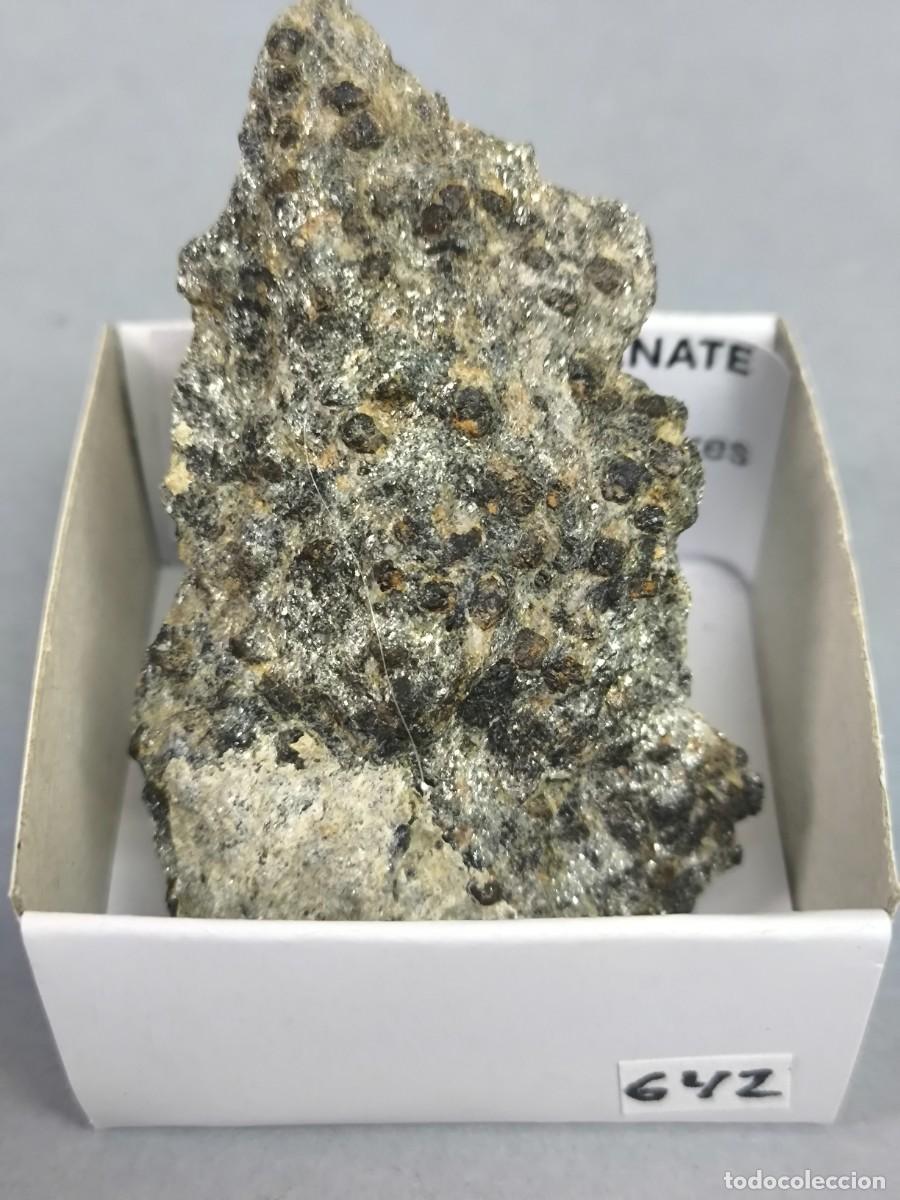Coleccionismo de minerales: GRANATES sobre GNEIS- MINERAL. 4x4