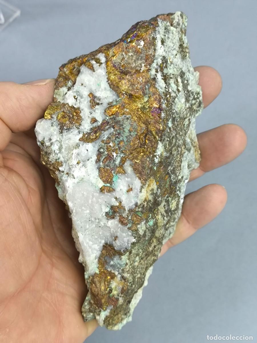 Coleccionismo de minerales: CALCOPIRITA - MINERAL. Barcelona. - Foto 5