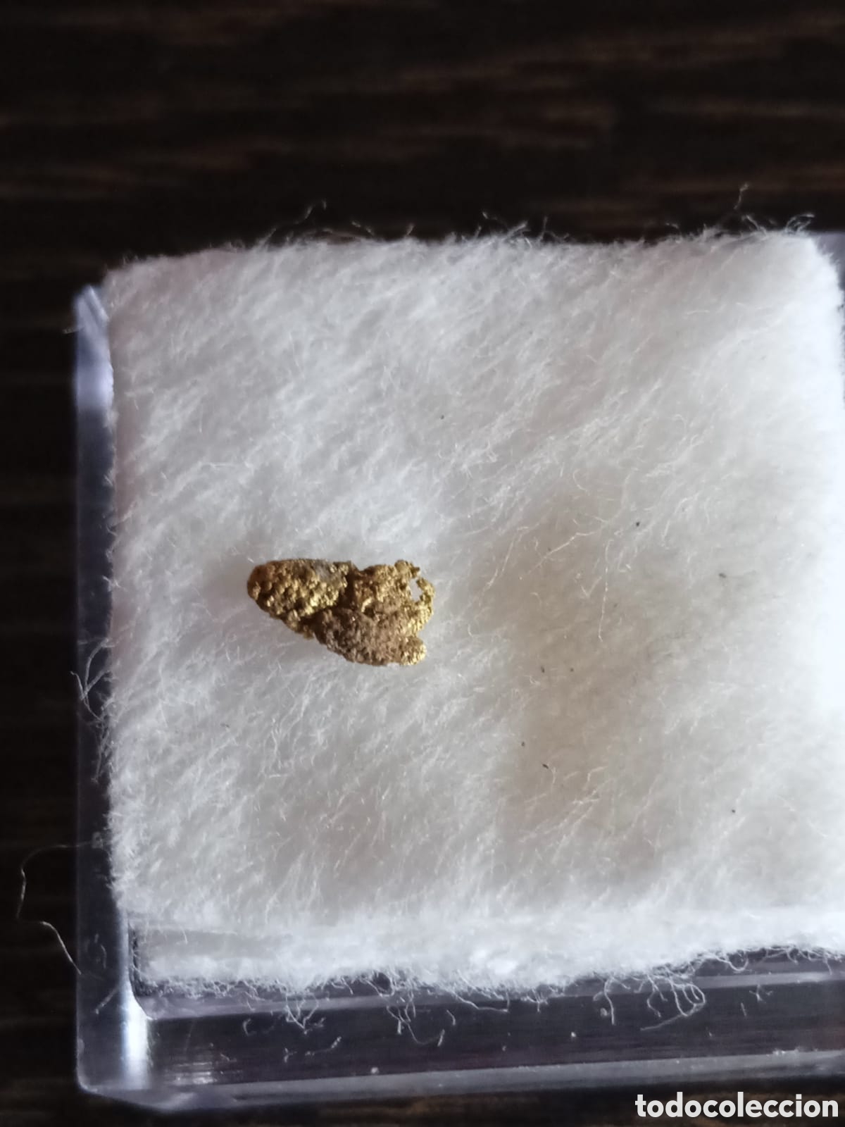 Coleccionismo de minerales: Pepita de oro nativo