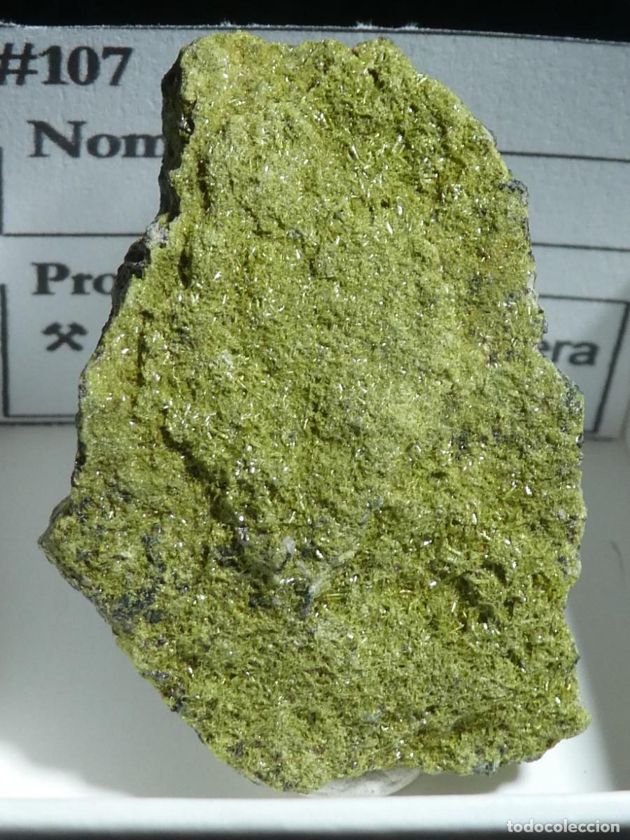 Collezionismo di minerali: (107) EPIDOTA, ANTEQUERA, M&Aacute;LAGA, ESPA&Ntilde;A.