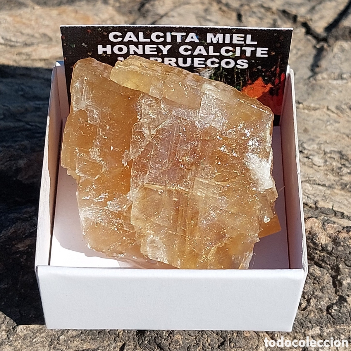 Coleccionismo de minerales: Calcita Miel de Marruecos en Cajita de Colecci&oacute;n 4 x 4cm