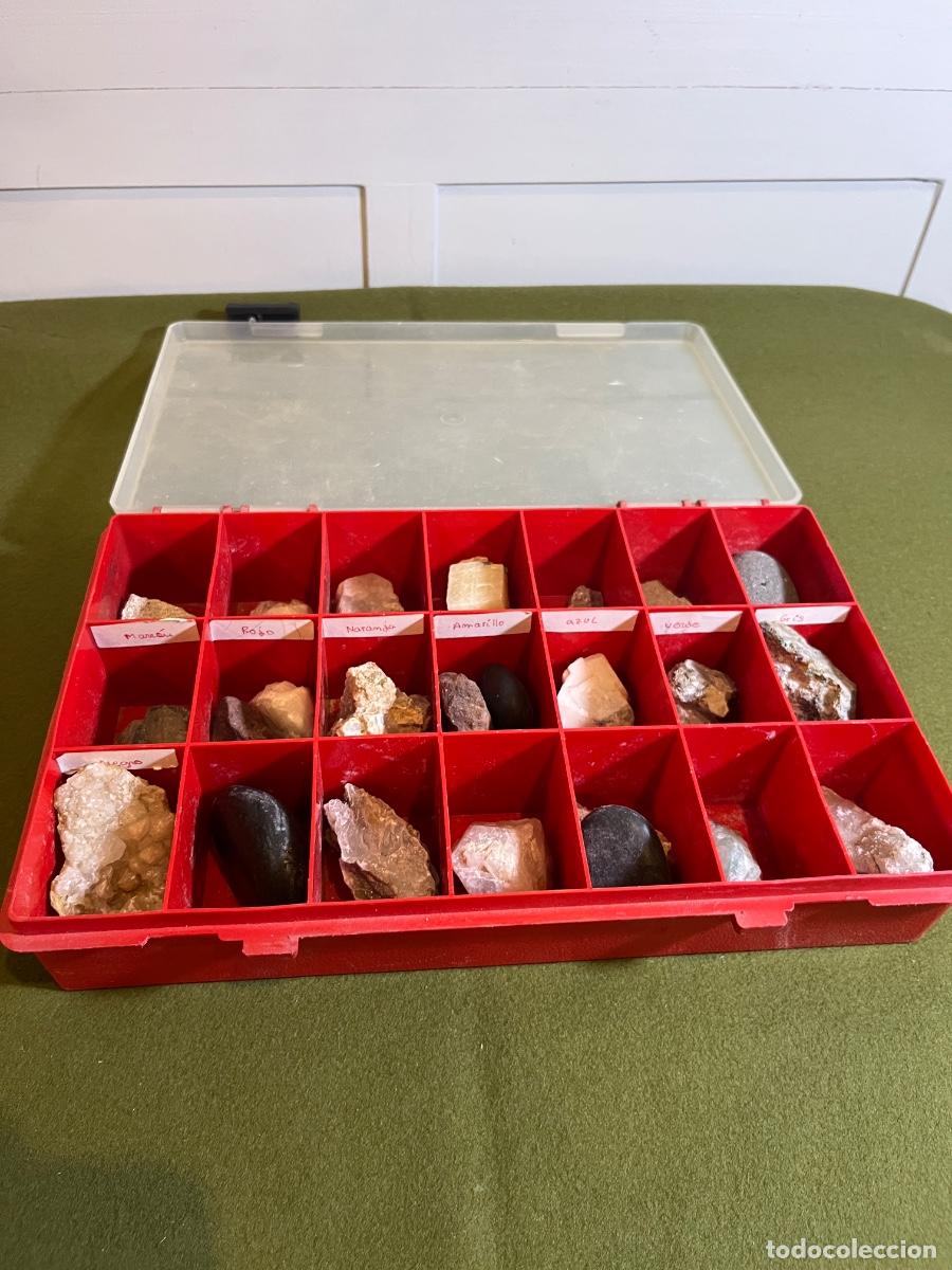 Coleccionismo de minerales: Colecci&oacute;n antigua de minerales y rocas en caja clasificadora &ndash; 25 ejemplares &ndash; Cuarzo, calcita, mica