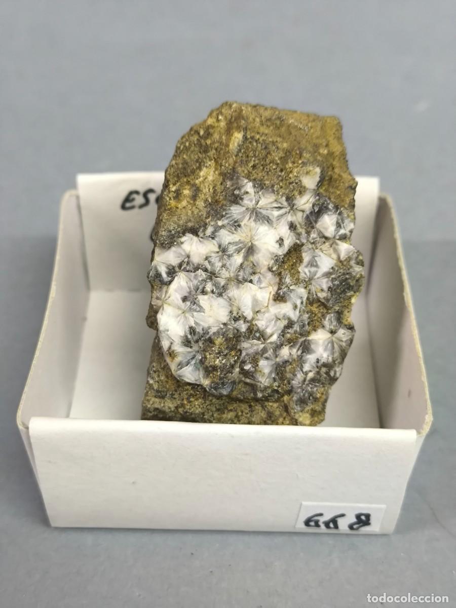 Coleccionismo de minerales: ESCOLECITA - MINERAL. 4x4. Huesca