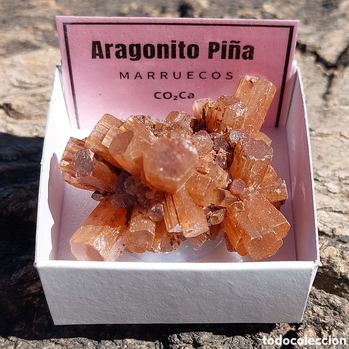 Coleccionismo de minerales: Aragonito Pi&ntilde;a de Marruecos en Cajita de Colecci&oacute;n 4 x 4cm