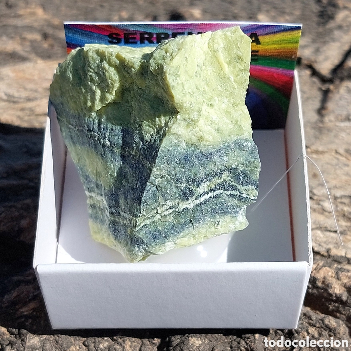 Coleccionismo de minerales: Serpentina de Per&uacute; en Cajita de Colecci&oacute;n 4 x 4cm