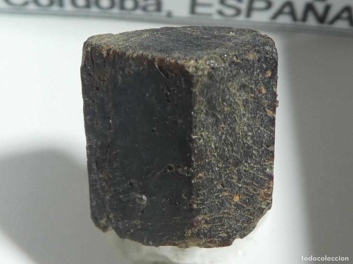 Coleccionismo de minerales: (205) ESTAUROLITA, SIERRA ALBARRANA, CORDOBA.
