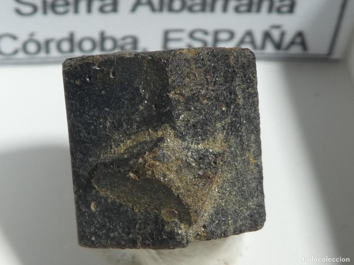 Coleccionismo de minerales: (207) ESTAUROLITA, SIERRA ALBARRANA, CORDOBA.