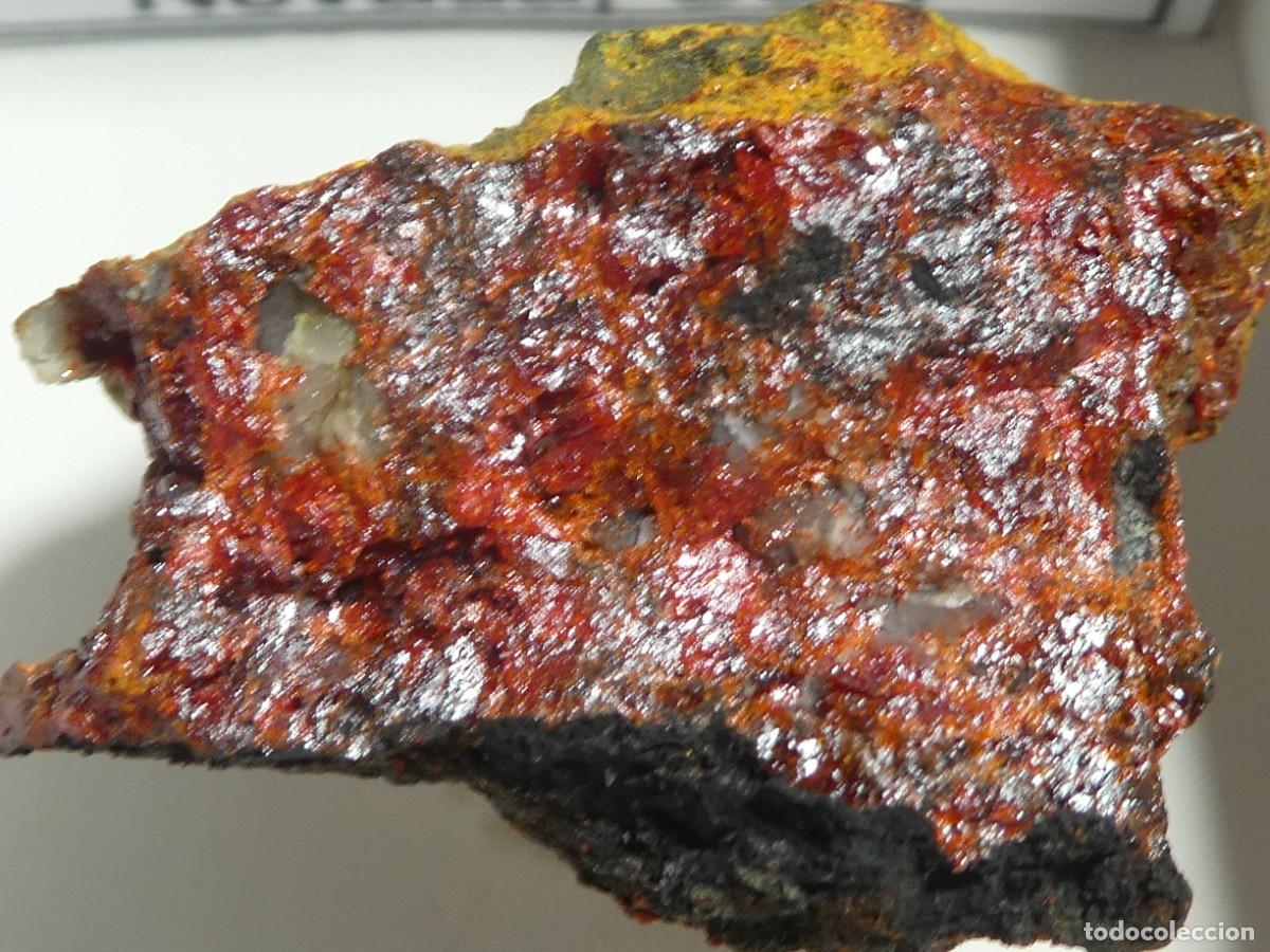 Coleccionismo de minerales: (234) REJALGAR, NEVADA, USA.
